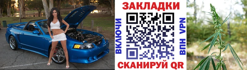 Купить закладку Гашиш  Alpha PVP  LSD-25  МЕФ  Галлюциногенные грибы  Елец