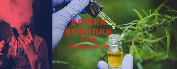 бошки Горняк