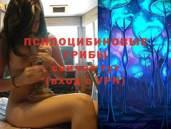 бошки Горняк