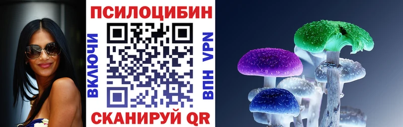 Купить закладки  Елец  Галлюциногенные грибы Cubensis 